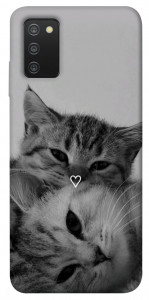 Чохол Grey cats для Galaxy A03s