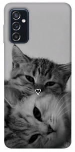 Чехол Grey cats для Galaxy M52