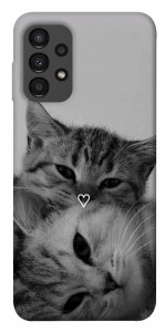 Чохол Grey cats для Galaxy A13 4G