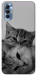 Чохол Grey cats для TECNO Spark 8P