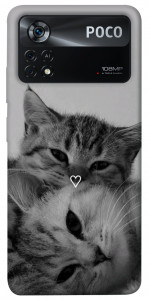 Чохол Grey cats для Xiaomi Poco X4 Pro