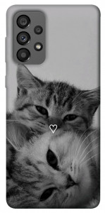 Чехол Grey cats для Galaxy A73 5G