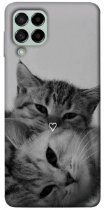 Чехол Grey cats для Galaxy M53
