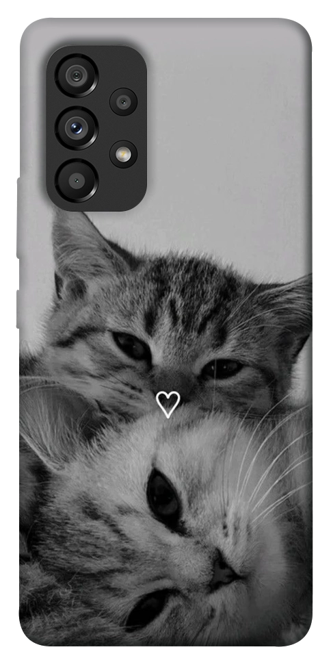 Чехол Grey cats для Galaxy A53