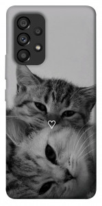 Чехол Grey cats для Galaxy A53