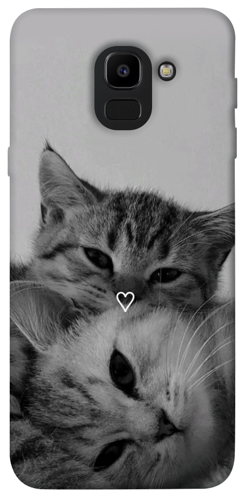 Чохол Grey cats для Galaxy J6 (2018)