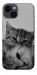 Чохол Grey cats для iPhone 14