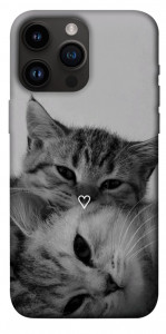 Чехол Grey cats для iPhone 14 Pro Max