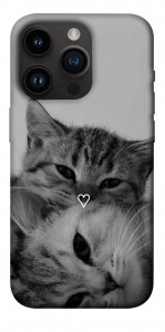 Чохол Grey cats для iPhone 14 Pro
