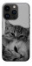Чохол Grey cats для iPhone 14 Pro