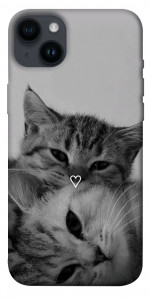 Чехол Grey cats для iPhone 14 Plus