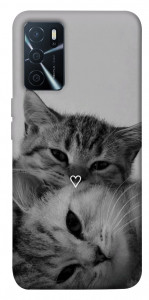 Чохол Grey cats для Oppo A16s