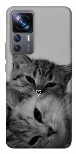 Чохол Grey cats для Xiaomi 12T