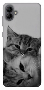 Чохол Grey cats для Galaxy A04
