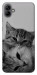 Чохол Grey cats для Galaxy A04