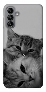 Чехол Grey cats для Galaxy A04s