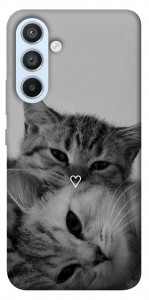 Чохол Grey cats для Galaxy A54 5G