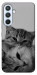 Чехол Grey cats для Galaxy A54 5G
