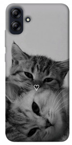 Чехол Grey cats для Galaxy A04e
