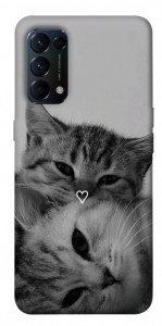 Чехол Grey cats для Oppo Reno 5 4G