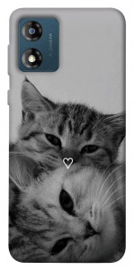 Чехол Grey cats для Motorola Moto E13