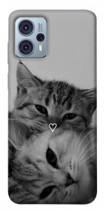 Чохол Grey cats для Motorola Moto G23