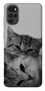 Чохол Grey cats для Motorola Moto G22
