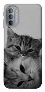 Чохол Grey cats для Motorola Moto G31