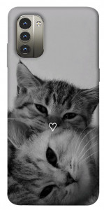 Чохол Grey cats для Nokia G11