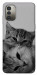 Чохол Grey cats для Nokia G11