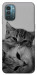 Чехол Grey cats для Nokia G21
