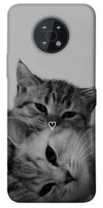 Чохол Grey cats для Nokia G50
