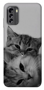 Чохол Grey cats для Nokia G60