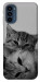 Чехол Grey cats для Motorola Moto G41