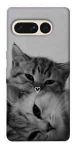 Чехол Grey cats для Google Pixel 7 Pro