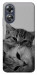 Чохол Grey cats для Oppo A17