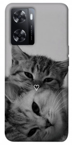 Чехол Grey cats для Oppo A77s