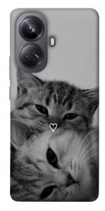 Чехол Grey cats для Realme 10 Pro+
