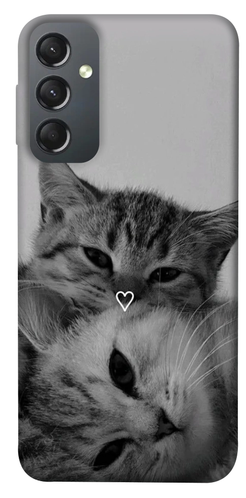 Чехол Grey cats для Galaxy A24 4G
