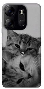 Чехол Grey cats для Tecno Spark Go 2023