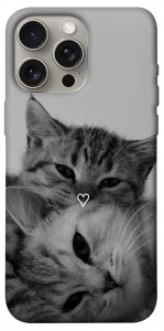 Чохол Grey cats для iPhone 15 Pro Max