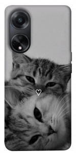 Чехол Grey cats для Oppo A98