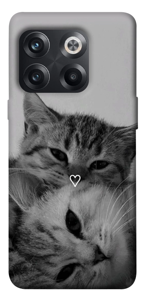 Чохол Grey cats для OnePlus 10T