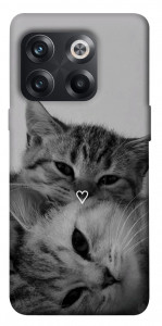 Чохол Grey cats для OnePlus 10T