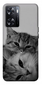 Чохол Grey cats для OnePlus Nord N20 SE