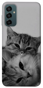 Чехол Grey cats для Galaxy M34 5G
