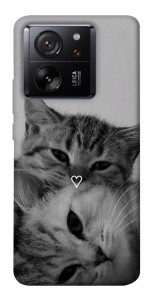 Чехол Grey cats для Xiaomi 13T