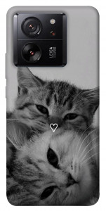 Чехол Grey cats для Xiaomi 13T Pro