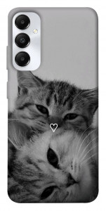 Чохол Grey cats для Galaxy A05s