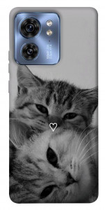 Чехол Grey cats для Motorola Edge 40